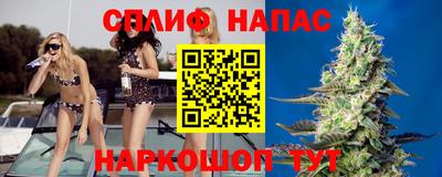 СК Аргун