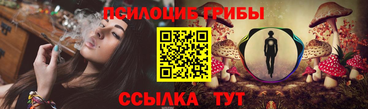 Псилоцибиновые грибы Psilocybine cubensis Бахчисарай